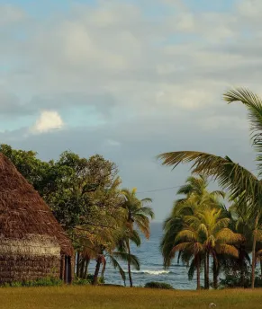 Case Lifou