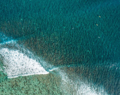 Surf Ocean