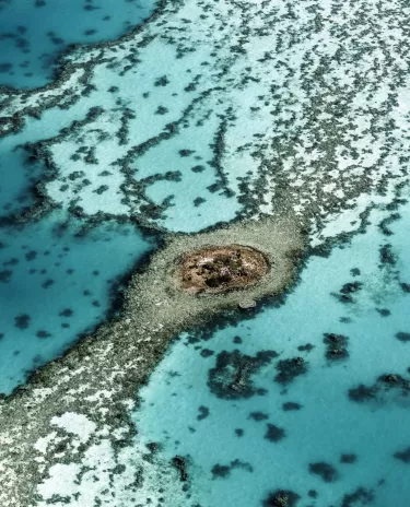 Survol du lagon Lagon Survol Patate Corail