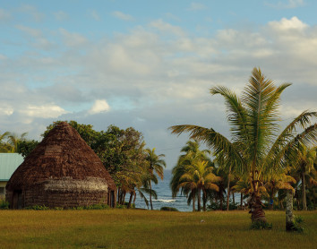 Tribu Tribu