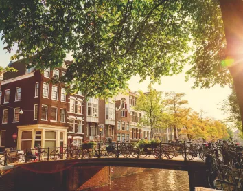 Ville d'Amsterdam Amsterdam Pont Paysage Arbre