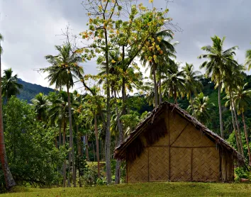 Vanuatu Cabane - Vanuatu